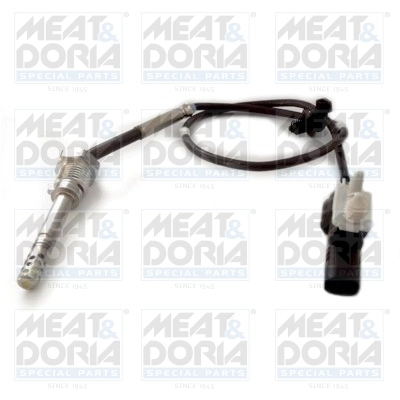 Sensor, exhaust gas temperature